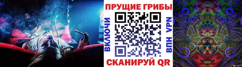 Псилоцибиновые грибы прущие грибы  цена   Новая Ладога 